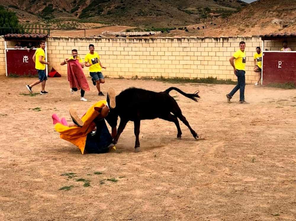 Vaquilla revolcando a chico joven en Capea de Logroño